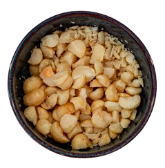 Macadamia